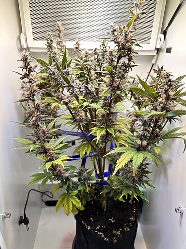 Growreport Bild 9