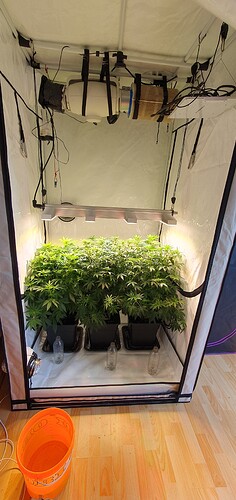 Growreport Bild 3