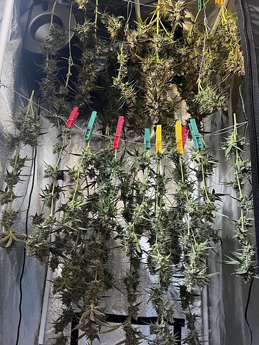 Growreport Bild 2