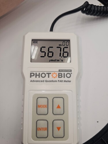 Growreport Bild 19
