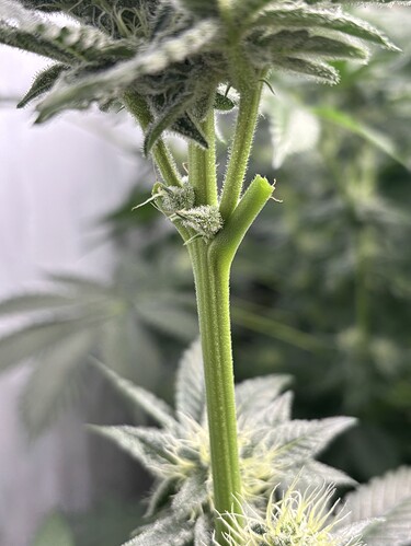 Growreport Bild 16