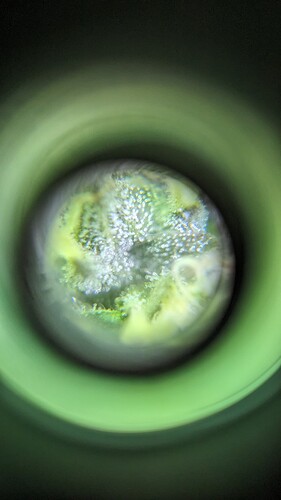 PXL_20240412_071441379