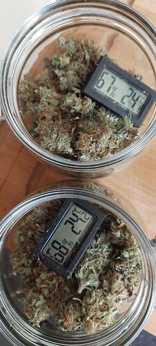 Growreport Bild 19