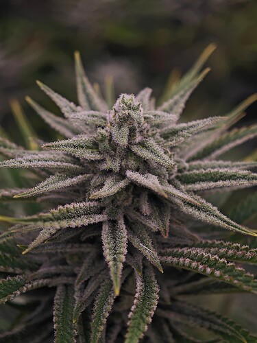 Growreport Bild 18