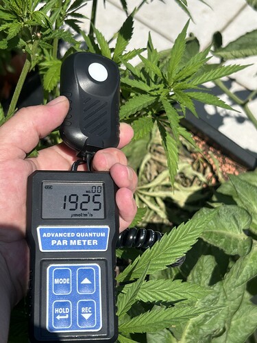 Growreport Bild 36