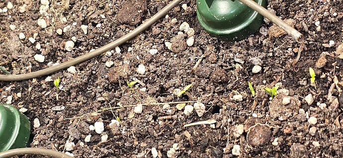 Growreport Bild 28