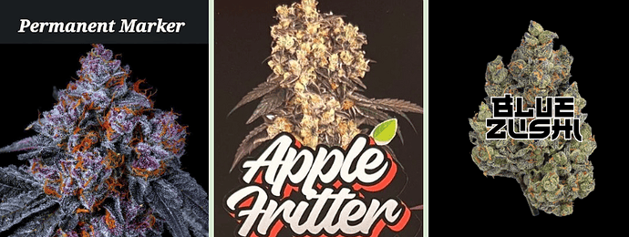 Screenshot 2025-05-08 185542