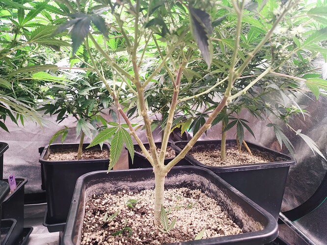 Growreport Bild 13