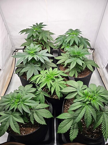 Growreport Bild 2