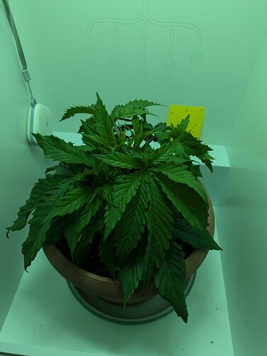 PXL_20240917_124021492
