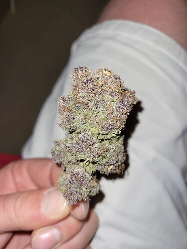 Growreport Bild 6