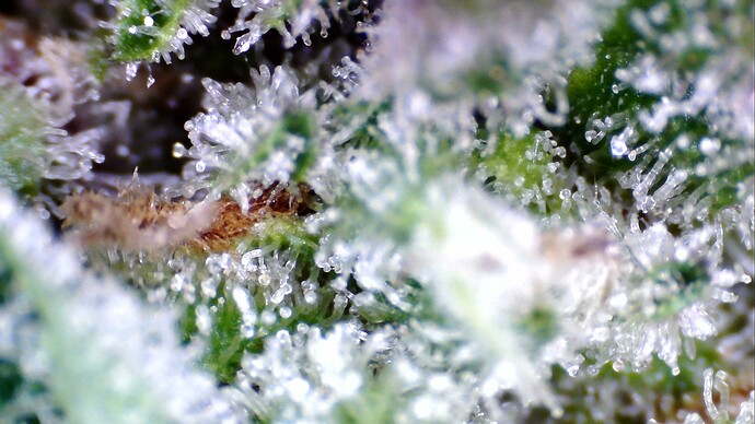 WIN_20241101_08_54_35_Pro