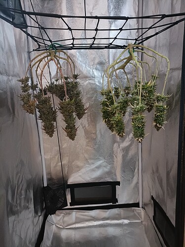 Growreport Bild 25