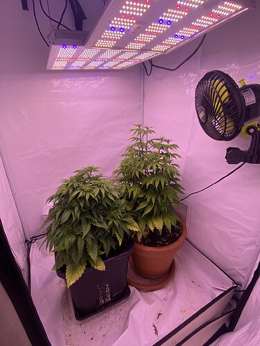 Growreport Bild 8