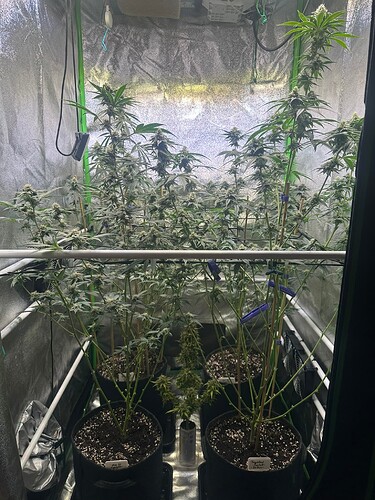 Growreport Bild 18