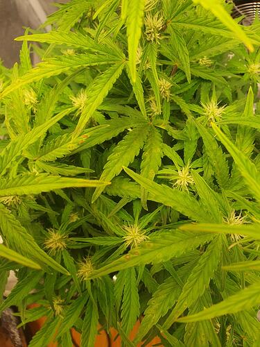 42 Tage_Cind_2025-06-07-113904_003