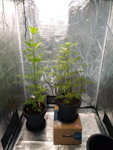 Growreport Bild 2