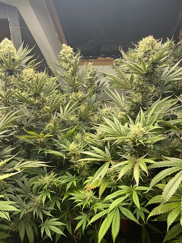 Growreport Bild 21