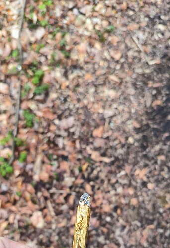 Growreport Bild 8