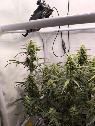 Growreport Bild 25