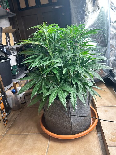 Growreport Bild 5