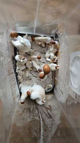 7b7aa0c7-eb19-476e-8ee3-29c5900d603a