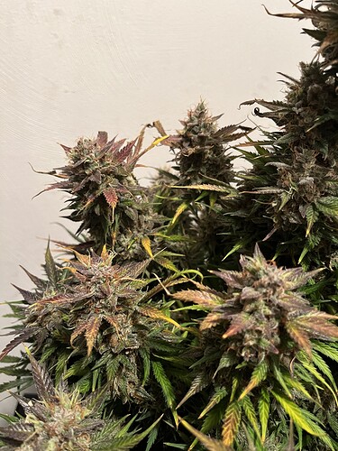 Growreport Bild 10