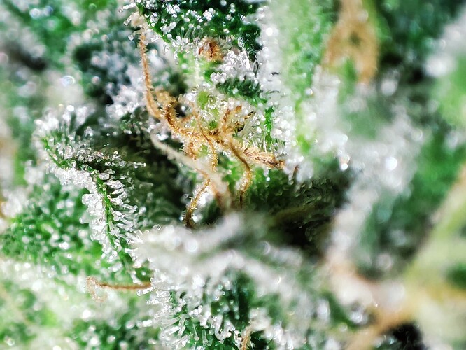 Growreport Bild 17