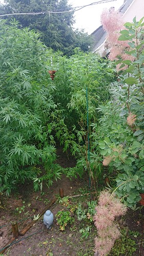 Growreport Bild 47