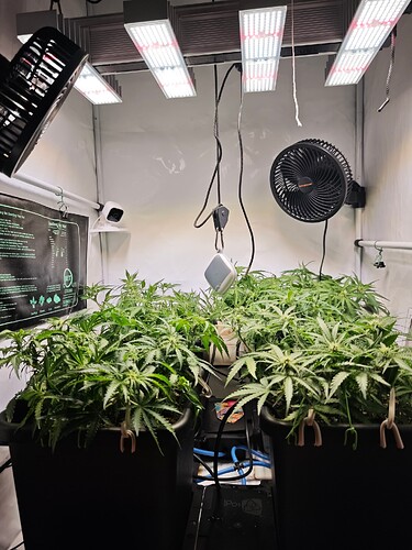 MVIMG_20251020_203907