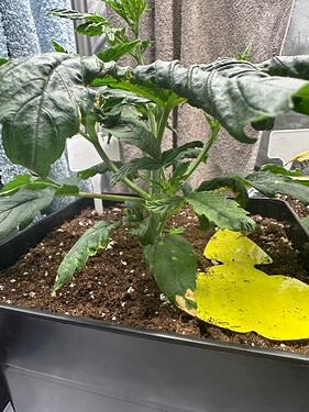 Growreport Bild 12