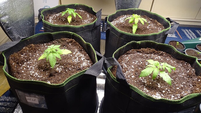 Growreport Bild 21