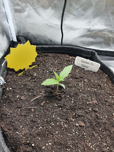 Growreport Bild 1
