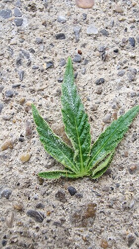 Growreport Bild 3