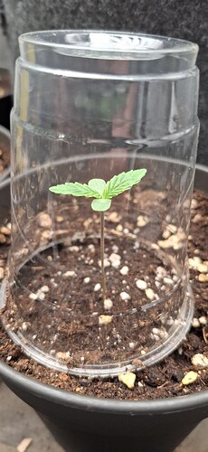 Growreport Bild 4
