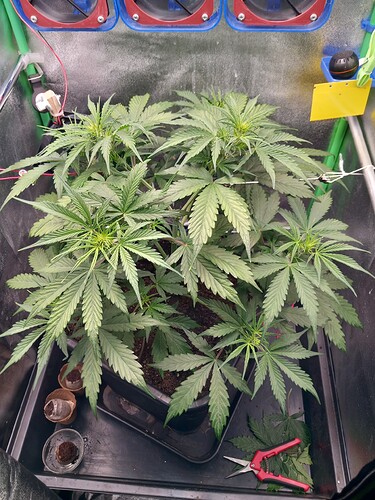 Growreport Bild 23