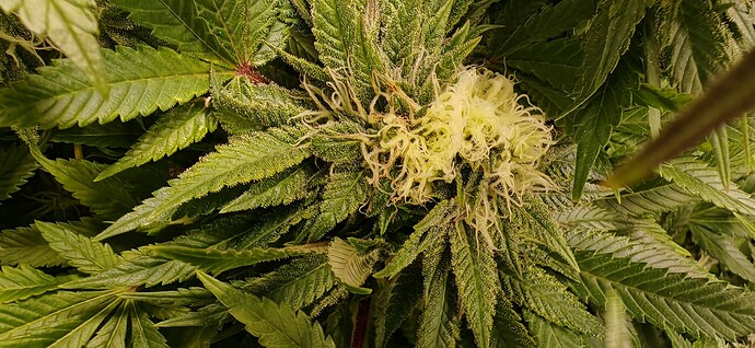 Growreport Bild 6