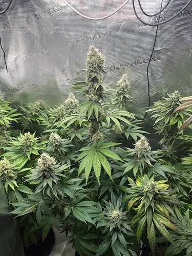 Growreport Bild 13