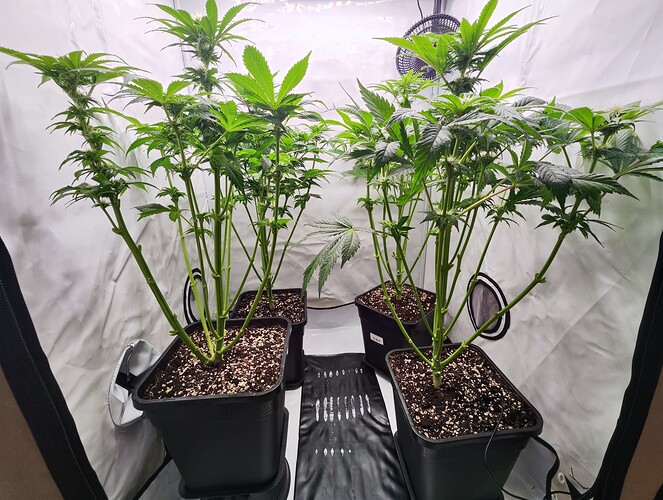 Growreport Bild 12