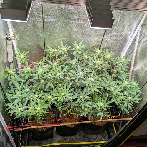 Growreport Bild 10