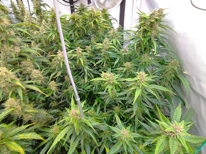 Growreport Bild 2