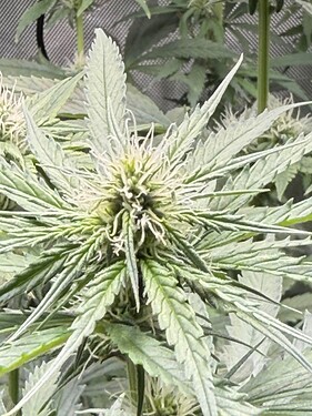 Growreport Bild 6