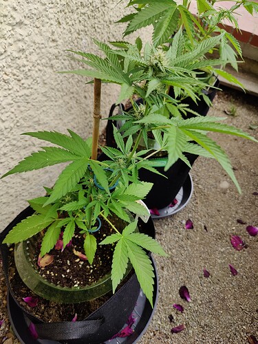 Growreport Bild 10