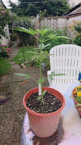 Growreport Bild 1