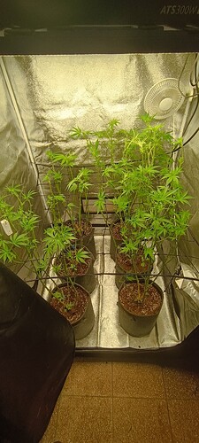 Growreport Bild 5