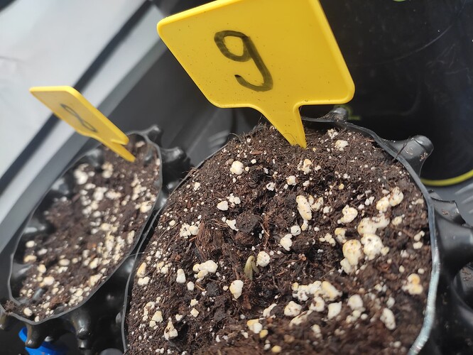 Growreport Bild 9