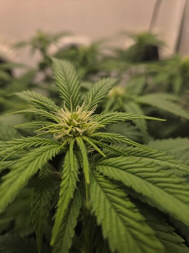 Growreport Bild 10