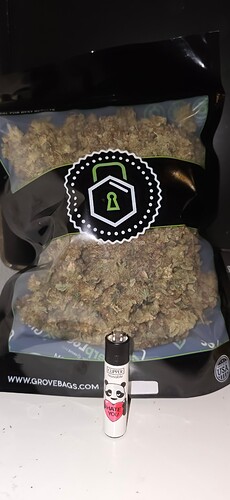 Growreport Bild 3