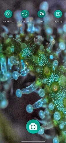 IMG_6498