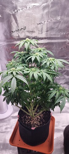 Growreport Bild 12